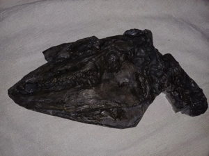 Uhrzeit Fossil