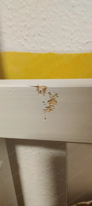 Hausbett Weiß von Tikaa Bild 3