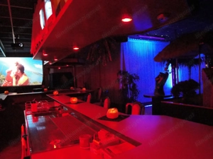 Damen in Erotic-Bar zur Unterhaltung ! Bild 2