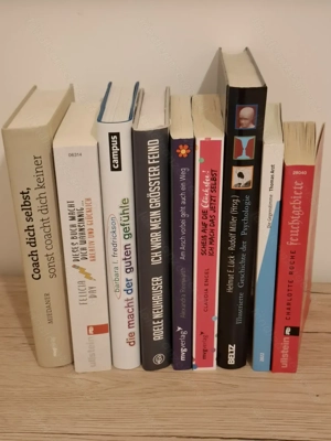 Diverse Büchern  teilweise Bestseller  Bild 2