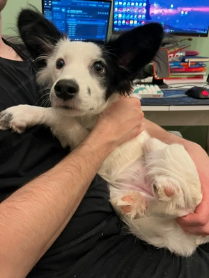 Blanca will endlich ankommen Bild 4