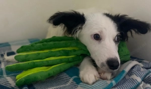 Blanca will endlich ankommen Bild 3