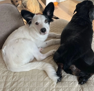 Blanca will endlich ankommen