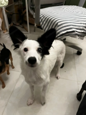 Blanca will endlich ankommen Bild 2