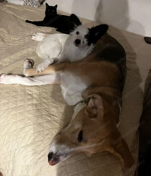 Blanca will endlich ankommen Bild 5