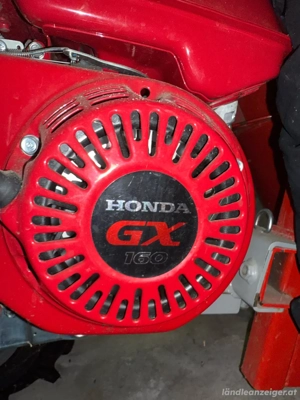 Honda F560, Zugmaulschlepper mit Schneeschild Bild 7