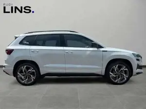 Skoda Karoq Bild 6