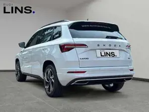 Skoda Karoq Bild 3