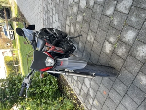 Moped Riju Bild 5