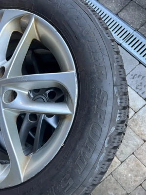 Dunlop Winter Sport 5 205 60 16 Bild 5