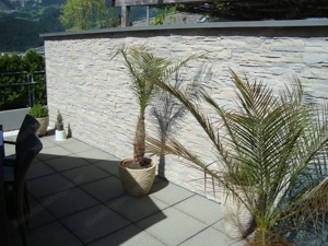 Terrassen Trennwand Bild 2