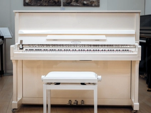 Sehr schönes Berdux Klavier in weiß poliert! Kostenlose Lieferung in ganz Vorarlberg(*) Bild 8