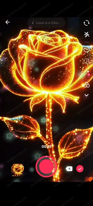 Hausbesuche Massage von Kopf bis Fuß 