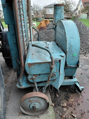 Standhächsler Bild 4