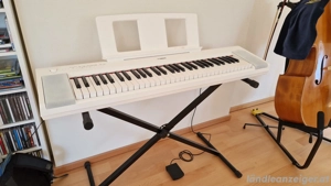 Fast neu: Yamaha NP-15 Piaggero