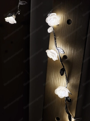 Eine kurze LED Lichterkette, Rosen Bild 3