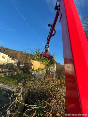 Gartenpflege, Baumpflege, Holzschlägerung