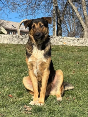 Pop möchte mit IHNEN durchs Leben gehen Bild 2