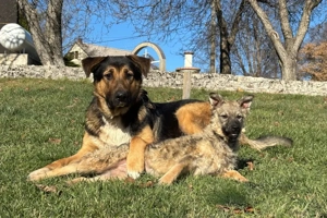 Pop möchte mit IHNEN durchs Leben gehen Bild 4