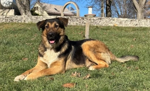 Pop möchte mit IHNEN durchs Leben gehen Bild 6