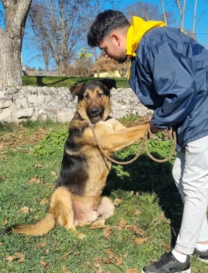 Pop möchte mit IHNEN durchs Leben gehen Bild 3