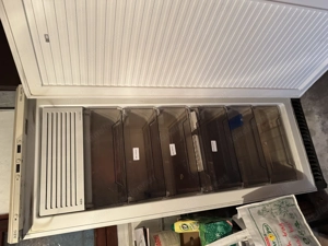 Tiefkühlschrank ÖKO Arctis Bild 2