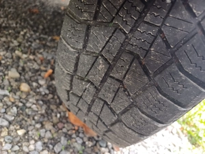 VW Polo  neu vorgeführt Bild 7