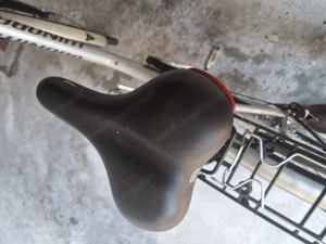 Fahrrad Dame Tiefeinstieg Bild 2
