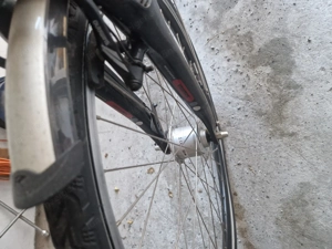 Fahrrad Dame Tiefeinstieg Bild 5