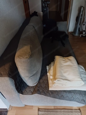 Alles muss Raus wegen Umzug abzugeben 