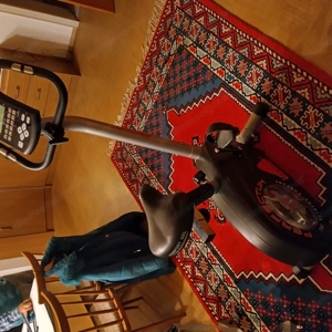 Home Trainer in sehr gutem Zustand  Bild 3