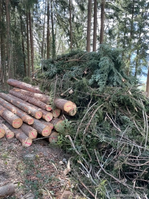 Brennholz  Bild 5