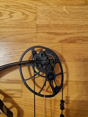 Bear Archery Legit  Bild 3