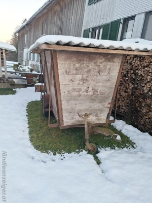 Viehanhänger, Faschingswagen 