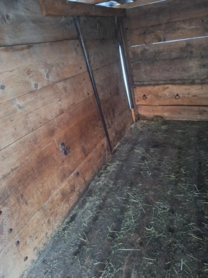 Viehanhänger, Faschingswagen  Bild 4