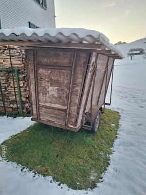 Viehanhänger, Faschingswagen  Bild 5