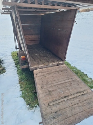 Viehanhänger, Faschingswagen  Bild 3