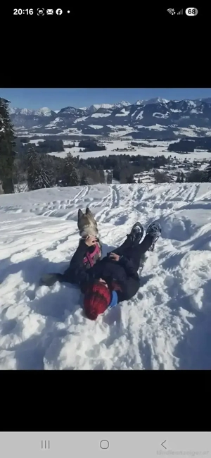 Suche Hund zum wandern Bild 2