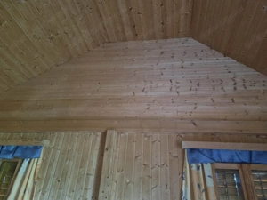 Ferienhaus in Ungarn Bild 5