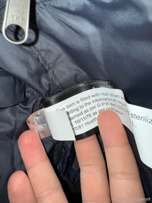 The Northface Damen daunenjacke Bild 3