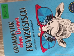 Grammatik Französisch