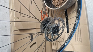 Reifen - Tracx Rolle Bild 2