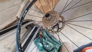 Reifen - Tracx Rolle Bild 4