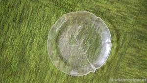 Glas Teller Bild 2