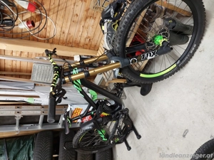 Procycle Downhill Fahrrad Bild 2