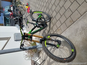 Procycle Downhill Fahrrad Bild 4