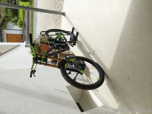 Procycle Downhill Fahrrad Bild 3
