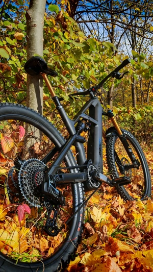 RADON Deft 10.0 800 2025, eMTB high-end Ausstattung Bild 2