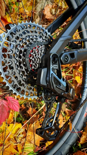 RADON Deft 10.0 800 2025, eMTB high-end Ausstattung Bild 4