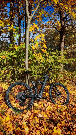 RADON Deft 10.0 800 2025, eMTB high-end Ausstattung Bild 5